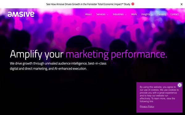 Homepage of Amsive